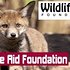 Photo: Wildlife Aid Foundation