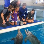 Dolphin Tale Movie Stars Surprise a Special Child