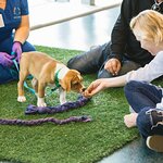 Princess Charlene of Monaco Visits Wallis Annenberg PetSpace