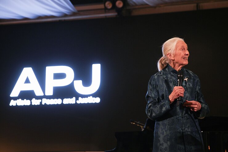 Dr. Jane Goodall at APJ Gala