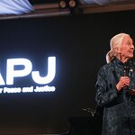 Artists for Peace and Justice Celebrates 16 Years of Impact at Gala