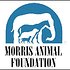 Photo: Morris Animal Foundation