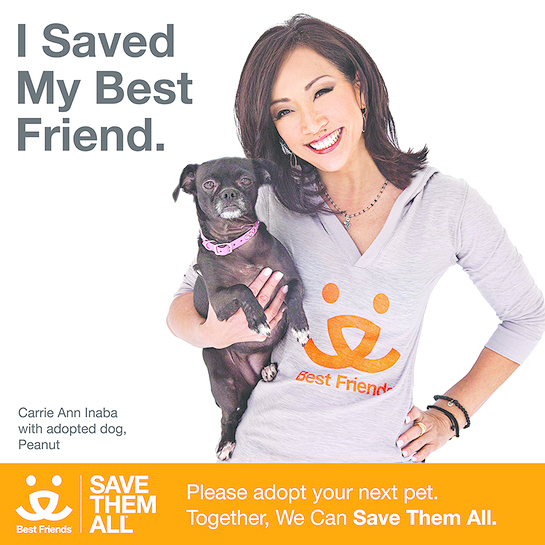 Stories about the Dogs  Best Friends Animal Society - Save Them All