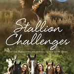 Book Review: Stallion Challenges